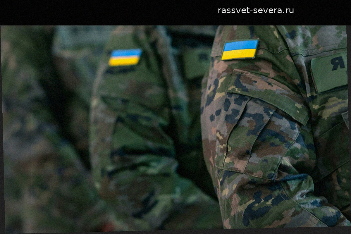 Украинский комбат задержан за торговлю секретными сведениями ВСУ