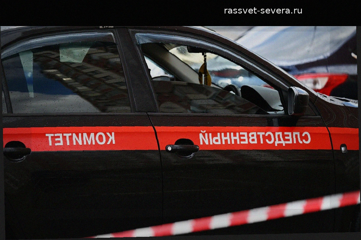 В Петербурге 14-летнюю школьницу обвинили в терроризме за поджог полицейских машин