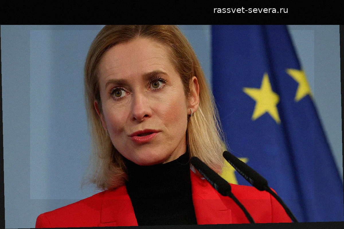 Небензя подверг сомнению роль Каи Каллас в качестве посредника по Украине