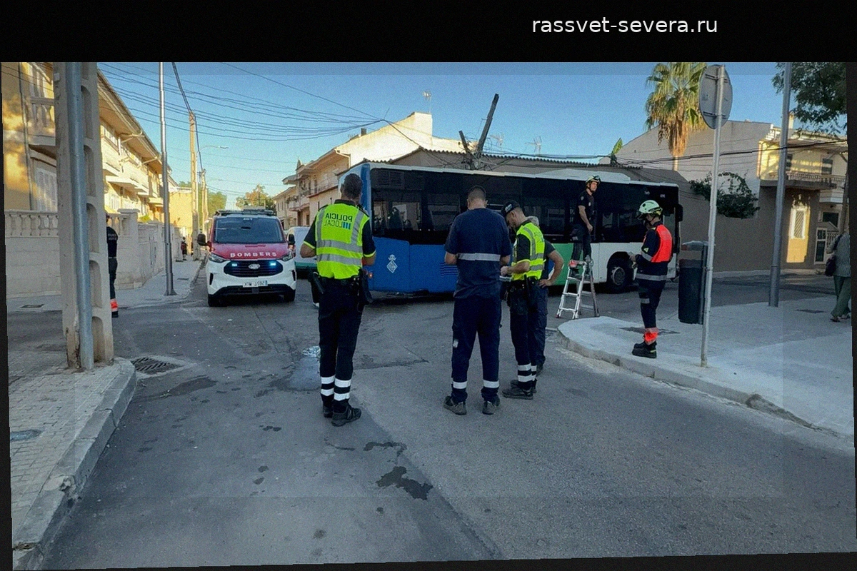 В Пальме водитель протаранил автобус, снес столб и попытался скрыться