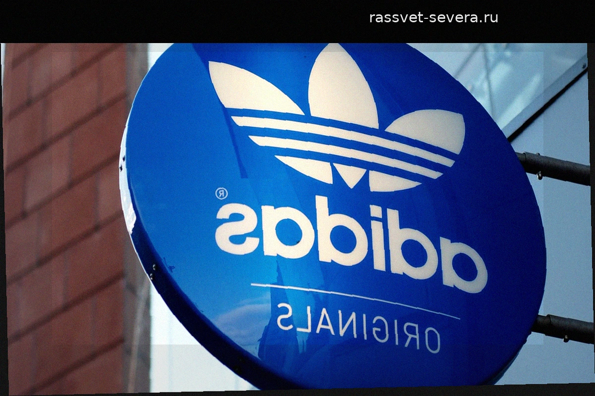 Ни Samba, ни Gazelle: новые Adidas Gralfy покоряют сердца городских модниц