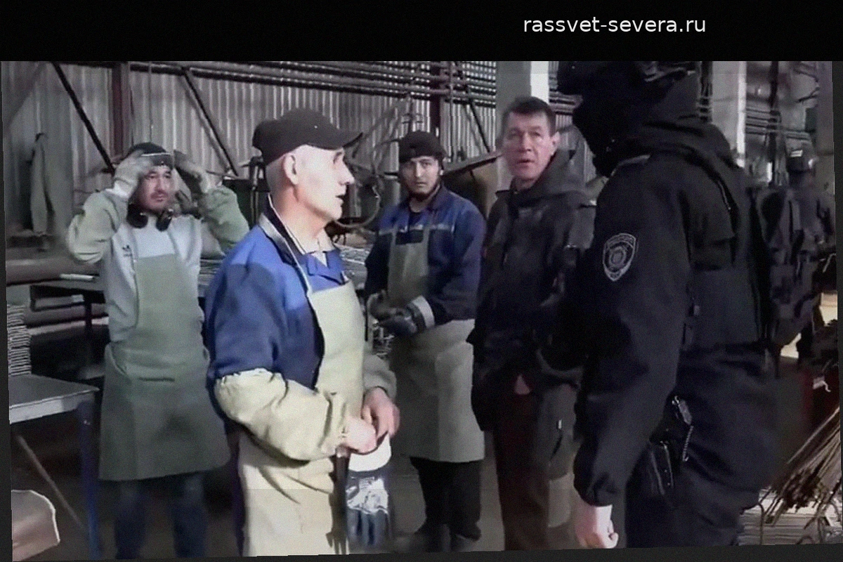 Итоги миграционных проверок на предприятиях Ленинградской области