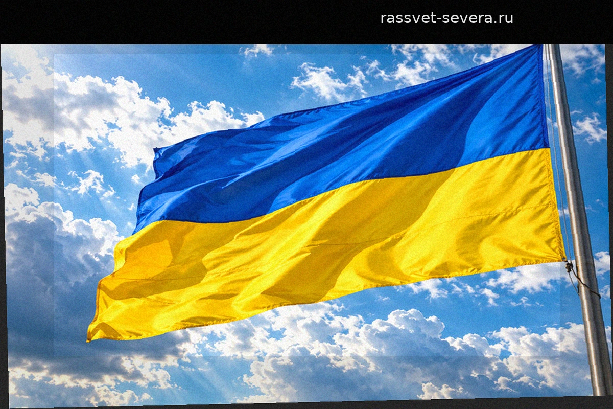 Юлия Мендель раскритиковала Зеленского за планы ударов по российским НПЗ