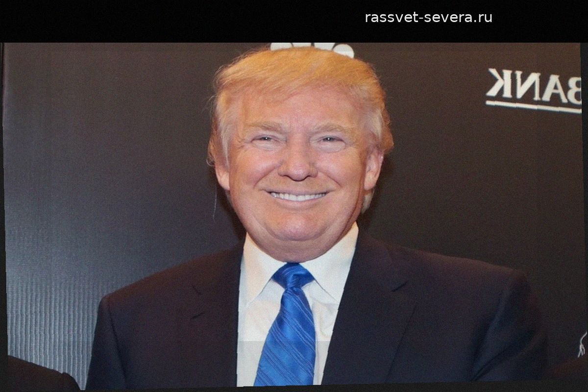 Зеленский и Трамп договорились о встрече в Нью-Йорке