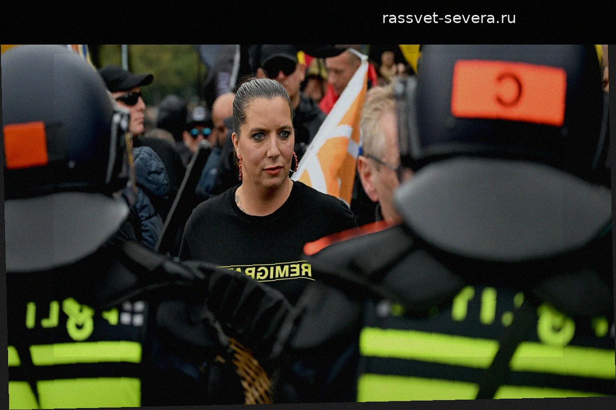 В Гааге сотни ультраправых вышли на митинг в парке Маливелд