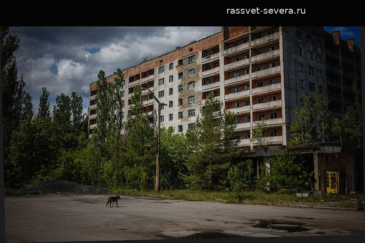 Чернобыль, 40 лет спустя: уроки, написанные радиацией