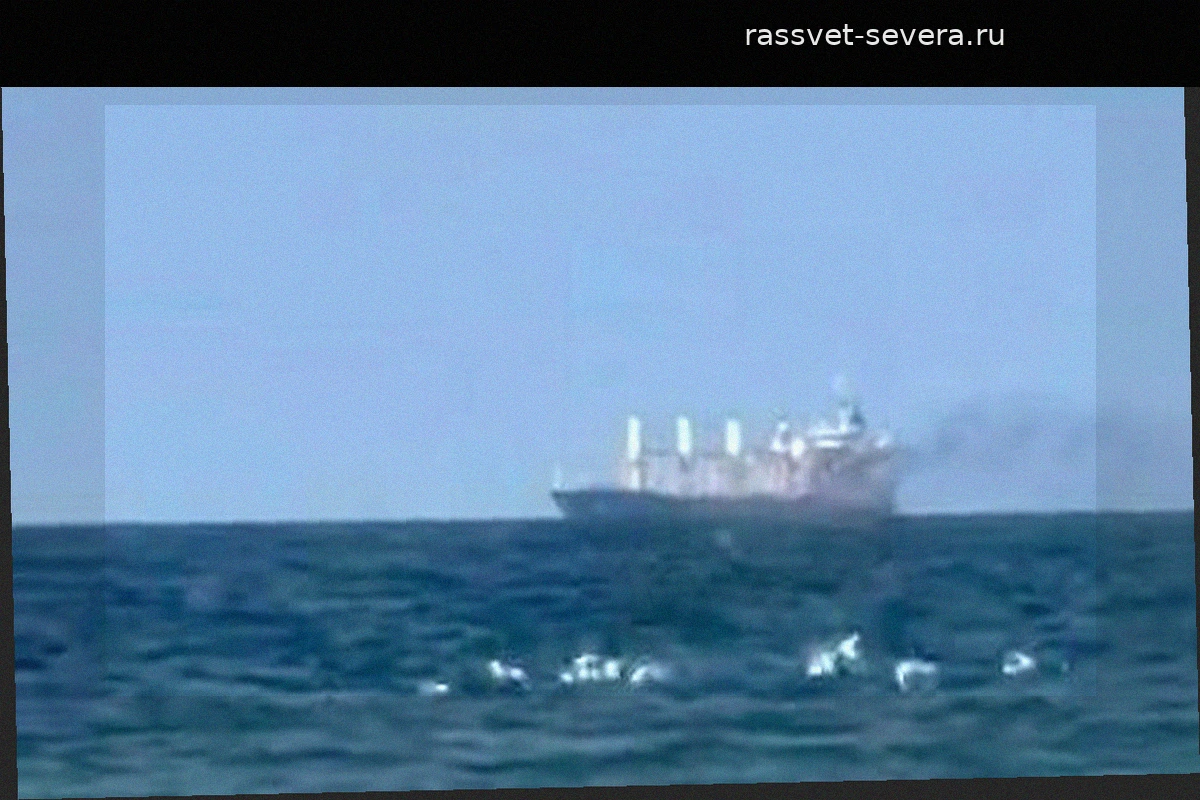 Болгария предложила ввести мораторий на боевые действия в Черном море