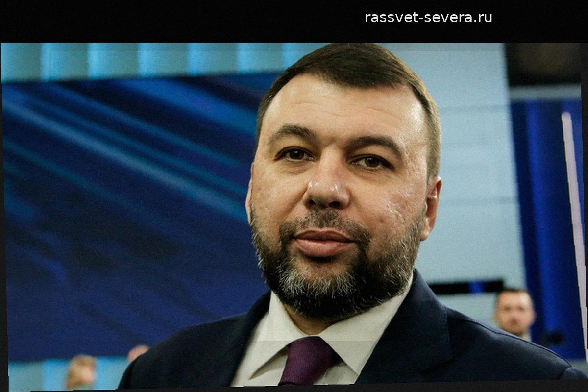 Пушилин допустил привлечение Зеленского к ответственности после завершения СВО
