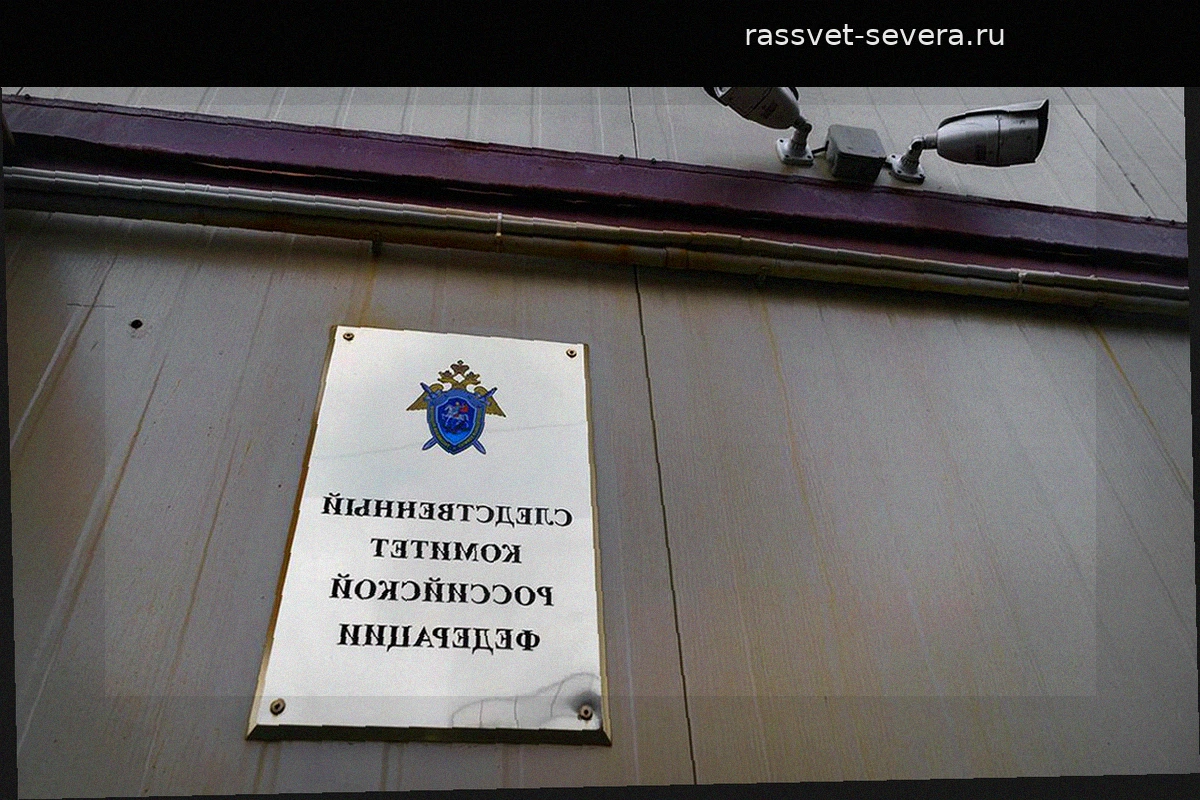В Ленобласти ребенок ударил полицейского ножом после манипуляций со стороны мошенников
