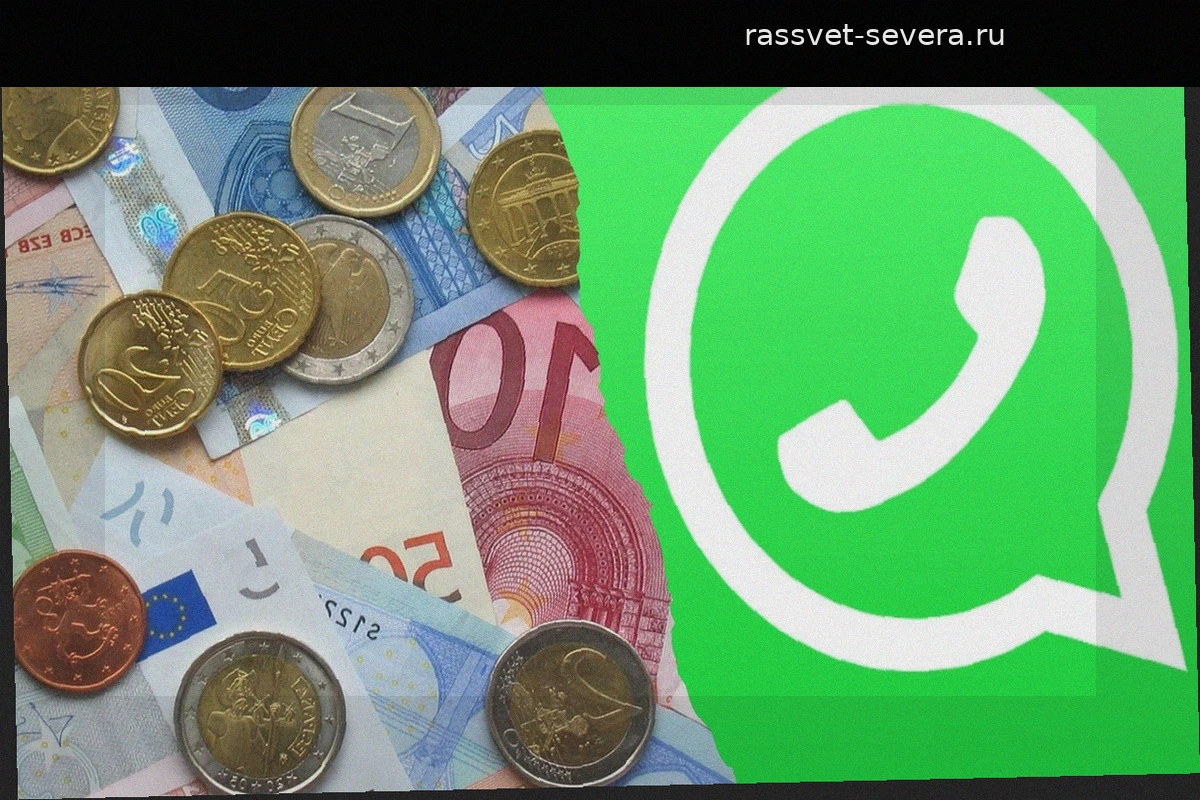 WhatsApp начнет взимать плату за сообщения для бизнеса с 2026 года
