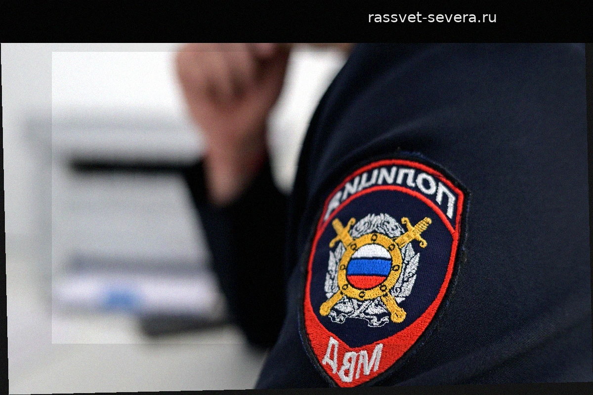 В Приморском крае установили личность девочки, закидавшей камнями женщину с инвалидностью