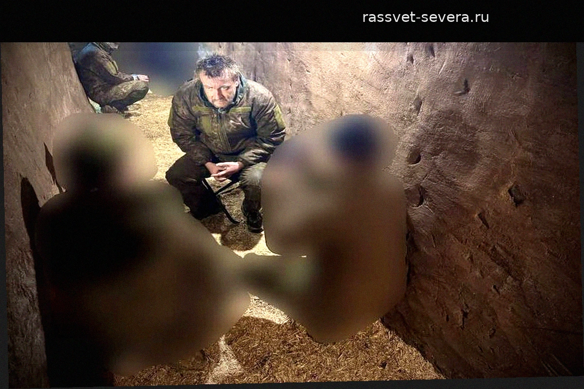 Украинский «Ганс» из погреба: как штурмовики отряда «Ветер» взяли в плен пятерых бойцов ВСУ