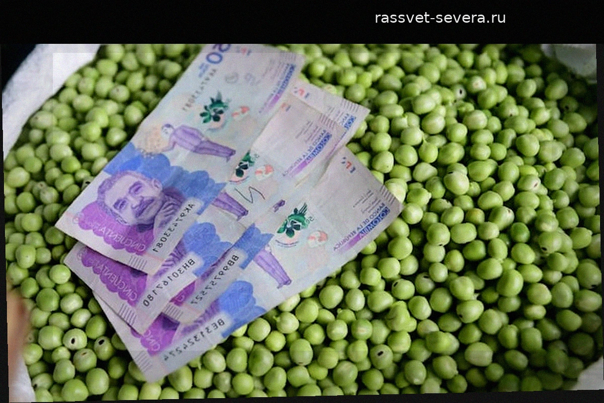 Цены на продукты в Колумбии: почему инфляция снова начала расти?