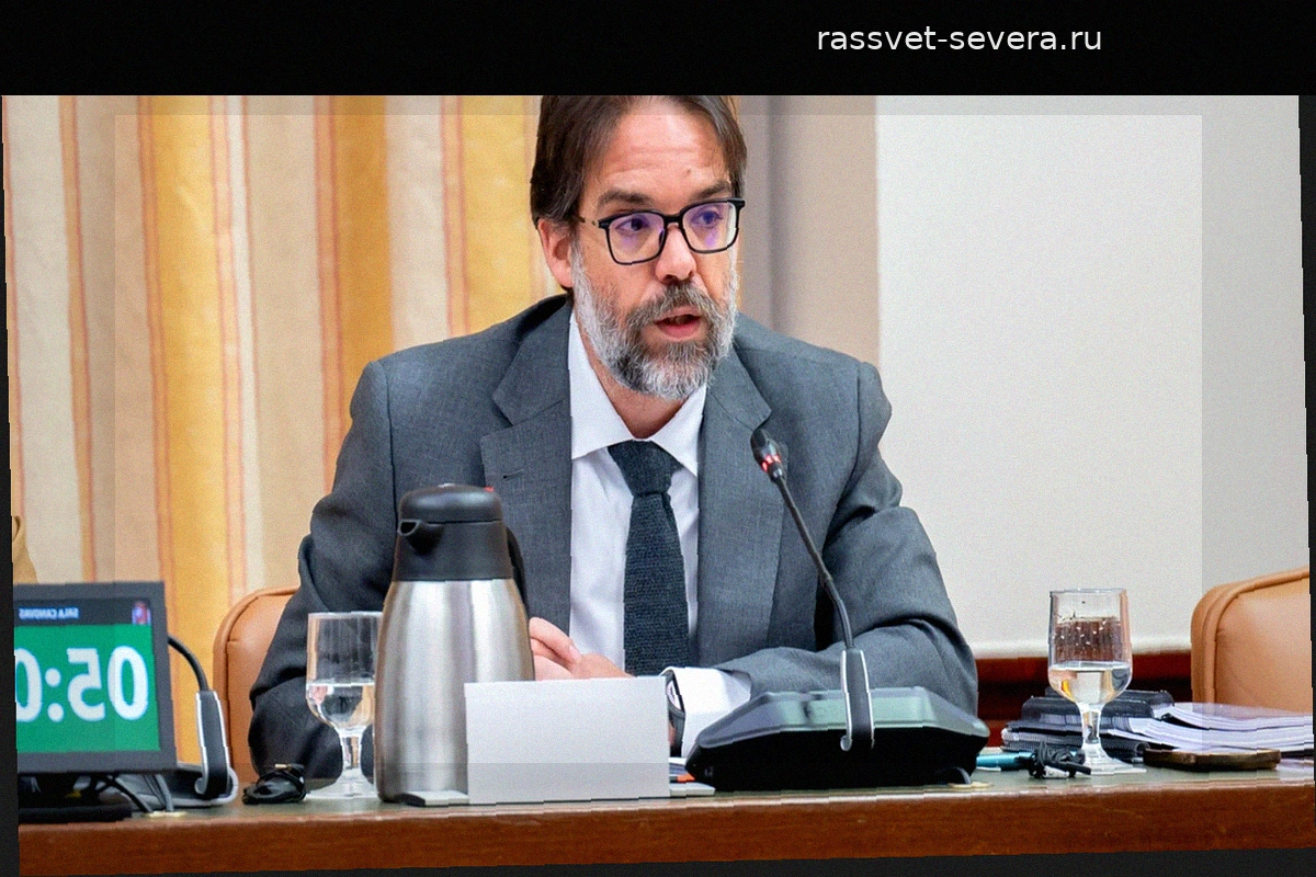 Глава Renfe заявил, что госкомпания стала «жертвой» железнодорожной катастрофы в Адамусе