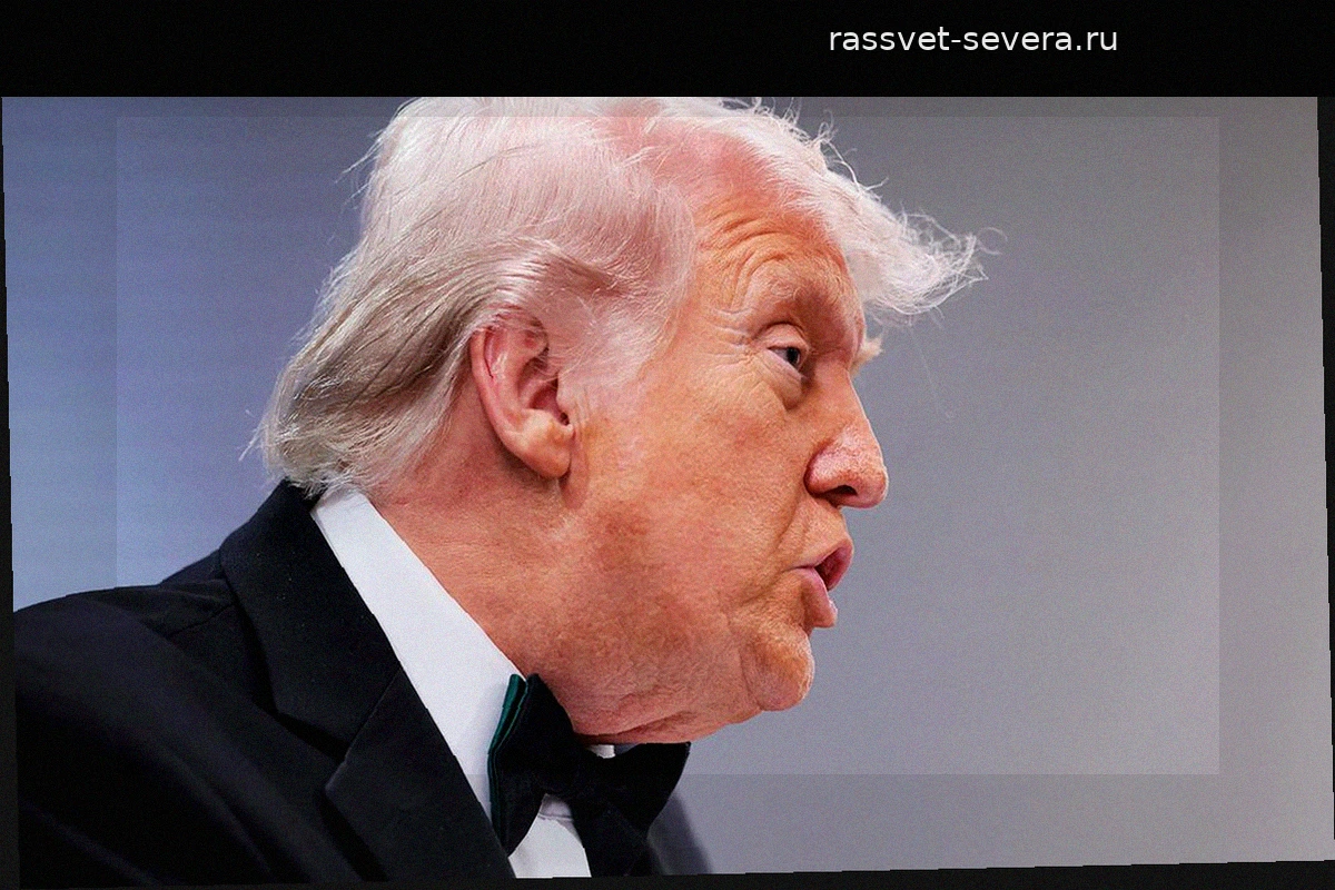 Трамп поддерживает контакт с Путиным и Зеленским для мирного урегулирования