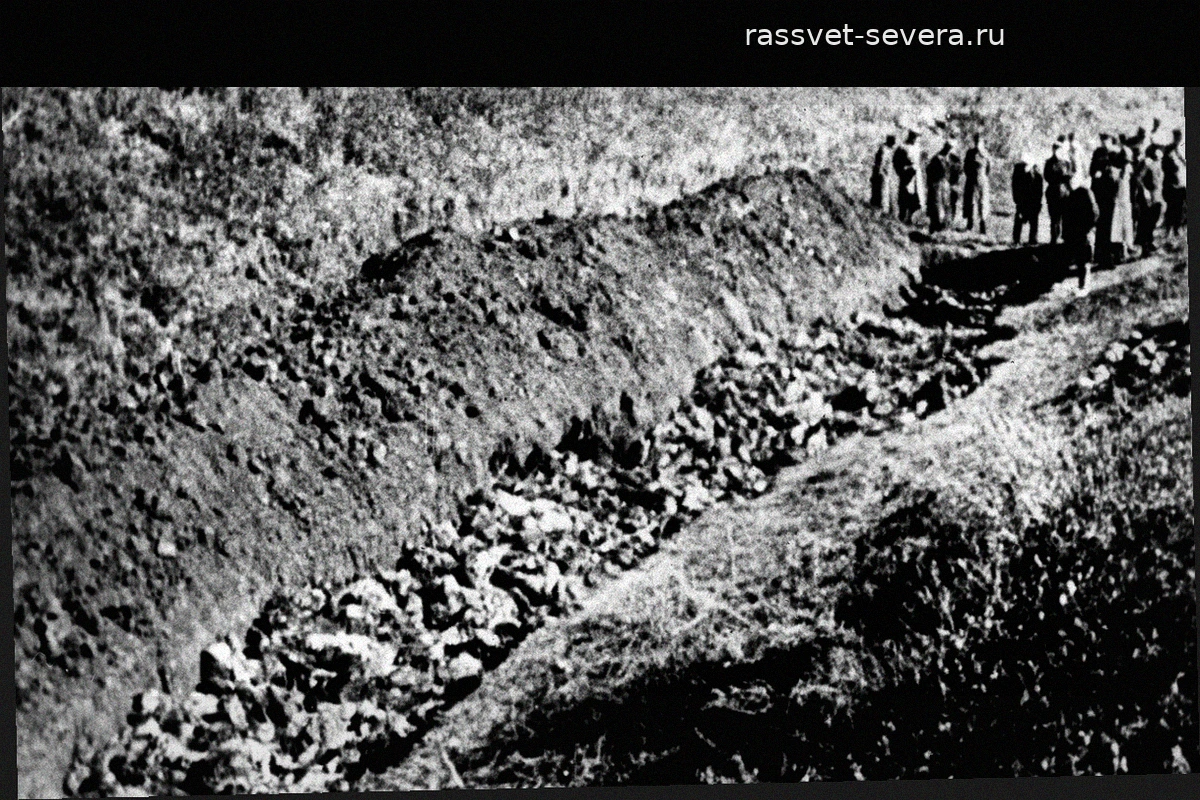 Палачи Бабьего Яра: роль украинских националистов в казнях 1941 года