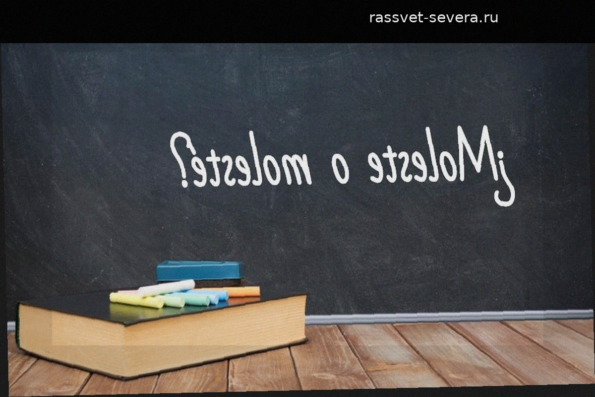 Molesté или moleste: как не ошибиться в испанском глаголе