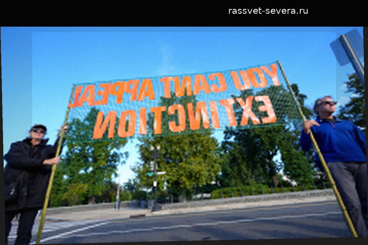 Истцы по климатическим искам заслуживают очередного поражения
