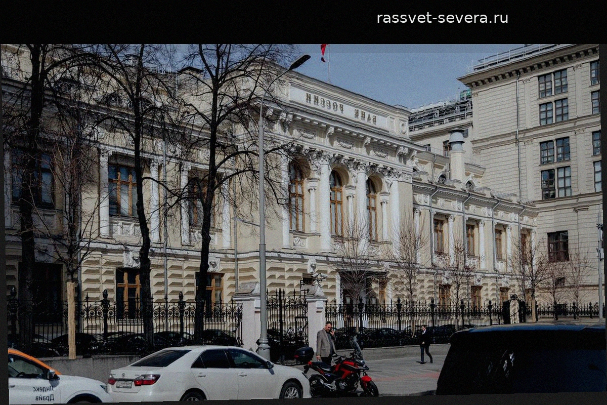 Инвестиционная активность на ИИС в первом квартале: сезонные тренды и изменение структуры портфелей
