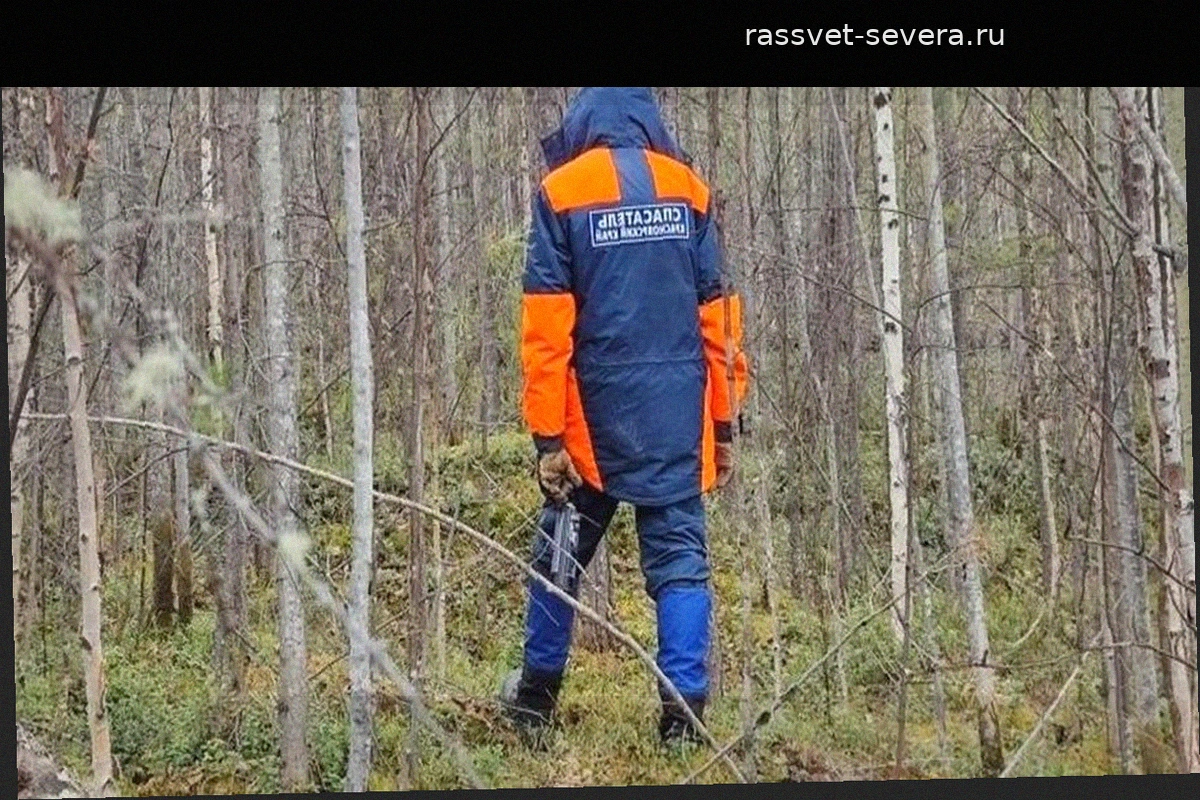Поиски семьи Усольцевых могут возобновить при определенных условиях