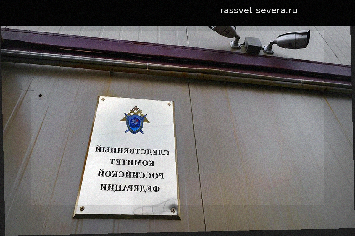 Бастрыкин затребовал доклад по делу о нападении на экс-судью в Челябинске
