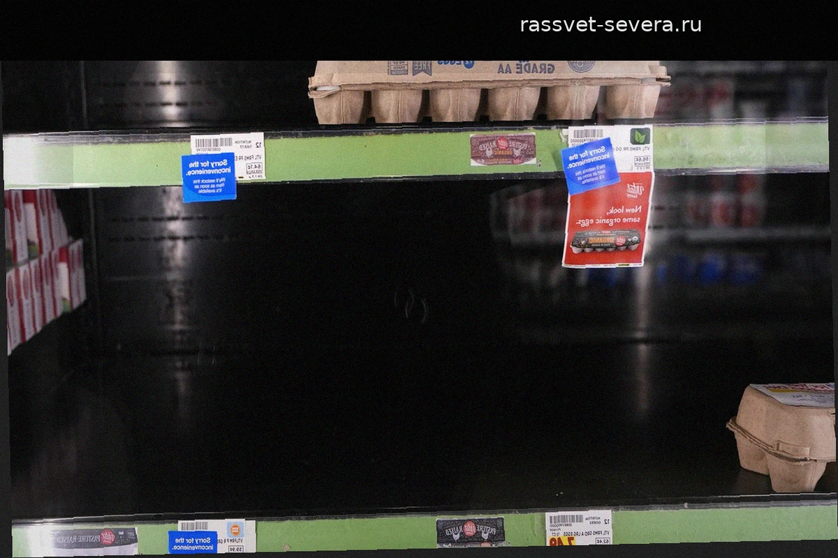 Американцы массово скупают продукты из-за угрозы урагана