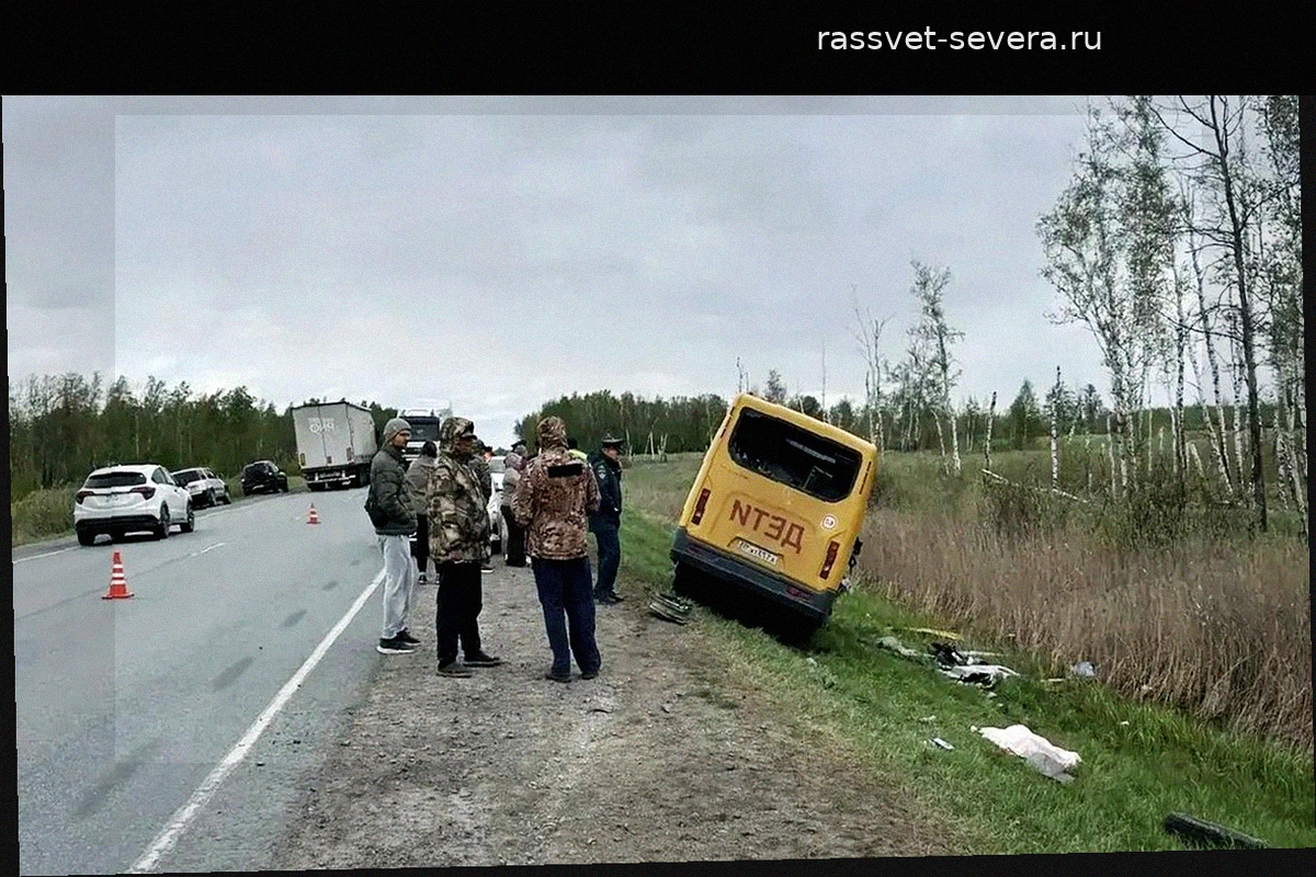 В Омской области возбудили уголовное дело после трагического ДТП с автобусом