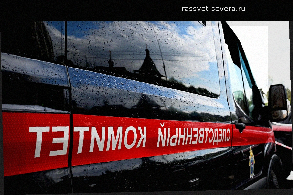 В Шереметьево нашли тела женщины и младенца