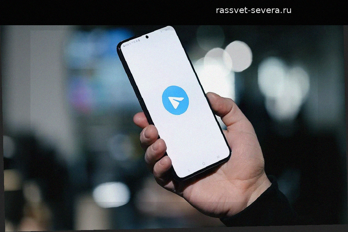 Telegram: путь от защищенного мессенджера до глобальной платформы и проблемы с законом