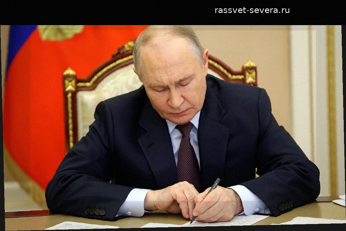 России необходима собственная стратегия регулирования искусственного интеллекта