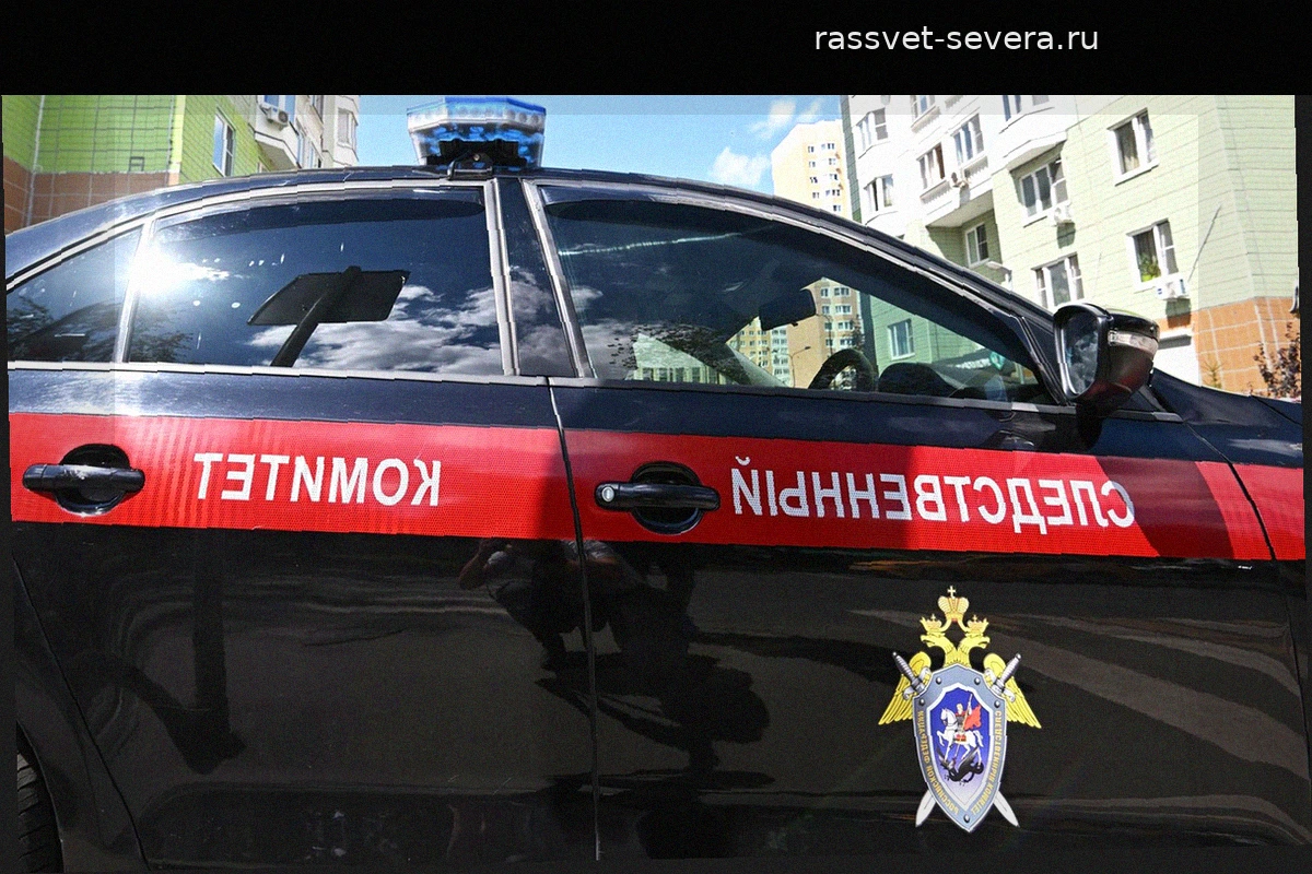 В Калининграде возбуждено уголовное дело из-за массового отравления детей в детском саду