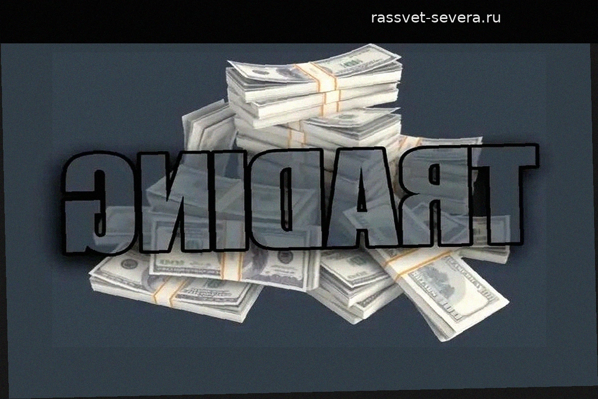 Трейдинг — пожалуй, самая честная работа в мире