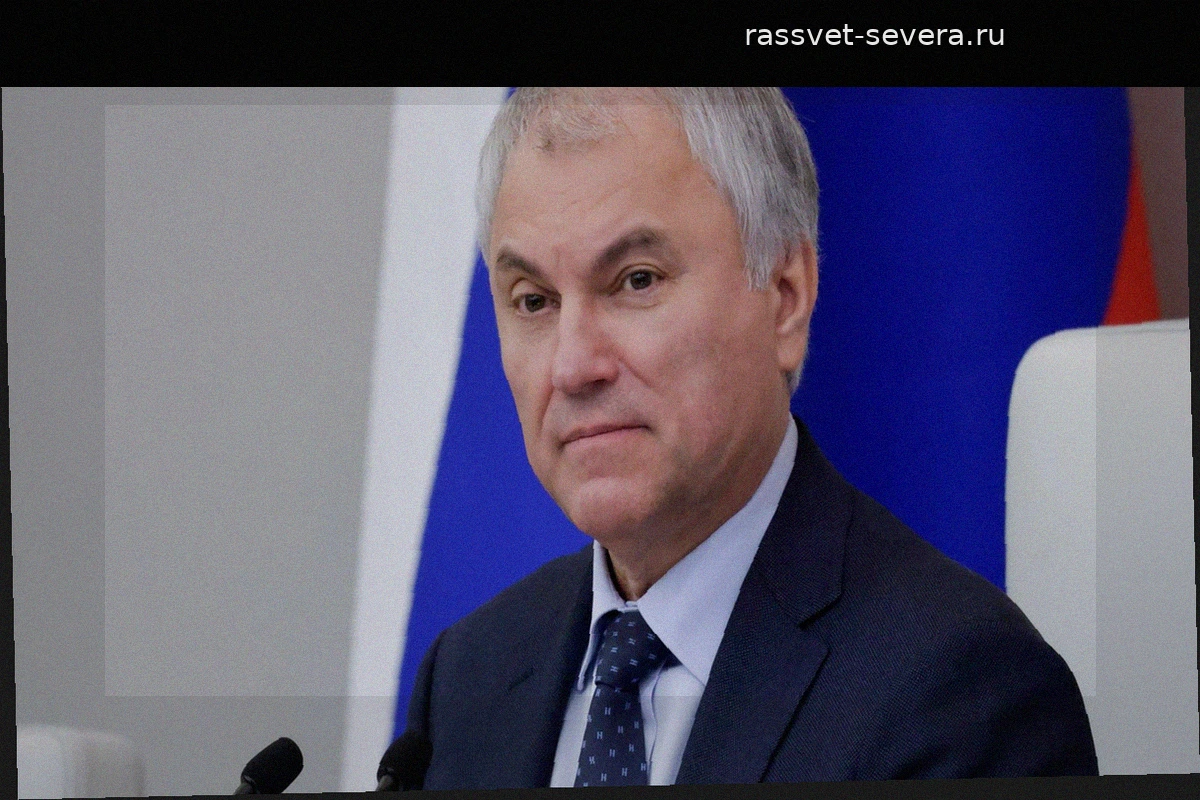 Вячеслав Володин распорядился создать рабочую группу для подготовки первой сессии новой Госдумы