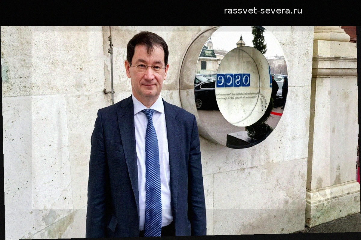 Дмитрий Полянский обвинил европейские страны в навязывании «пещерной русофобии»