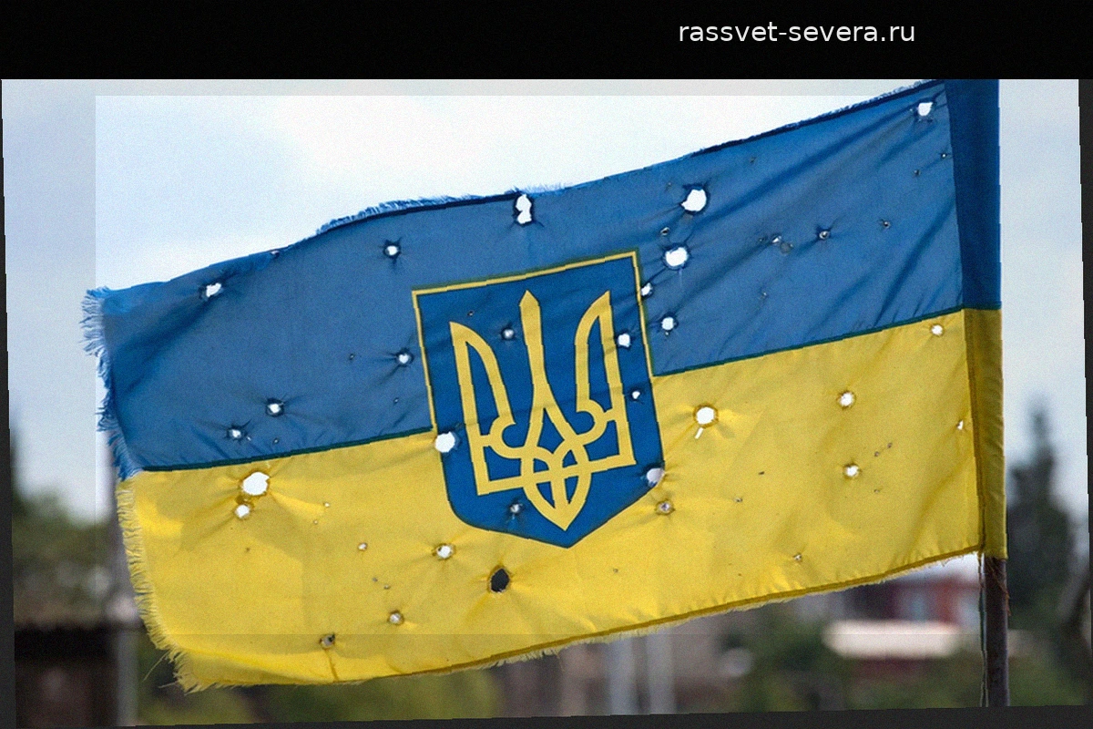 Депутат Скороход: часть украинцев за границей и фонды наживаются на войне