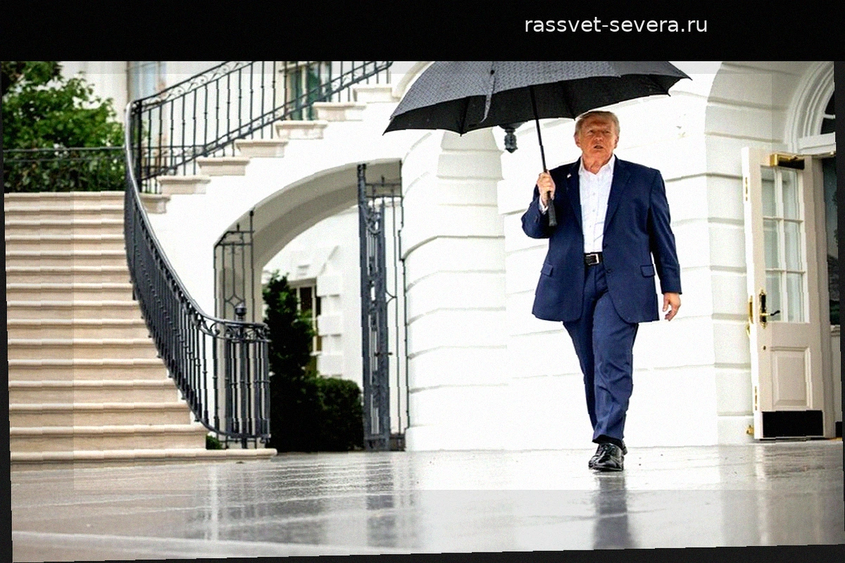 Предотвращение теракта на базе Фэрфорд: Трамп заявил о долгой слежке за подозреваемыми