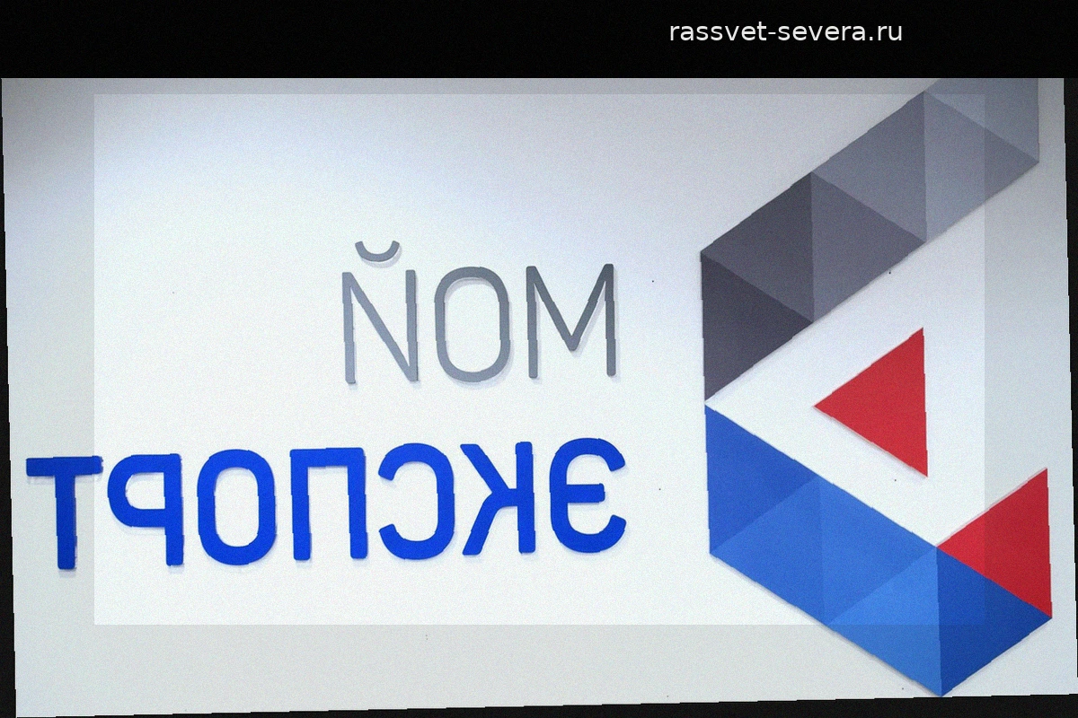 Сервис «Профессионалы экспорта» предоставит бизнесу прикладную аналитику для ВЭД