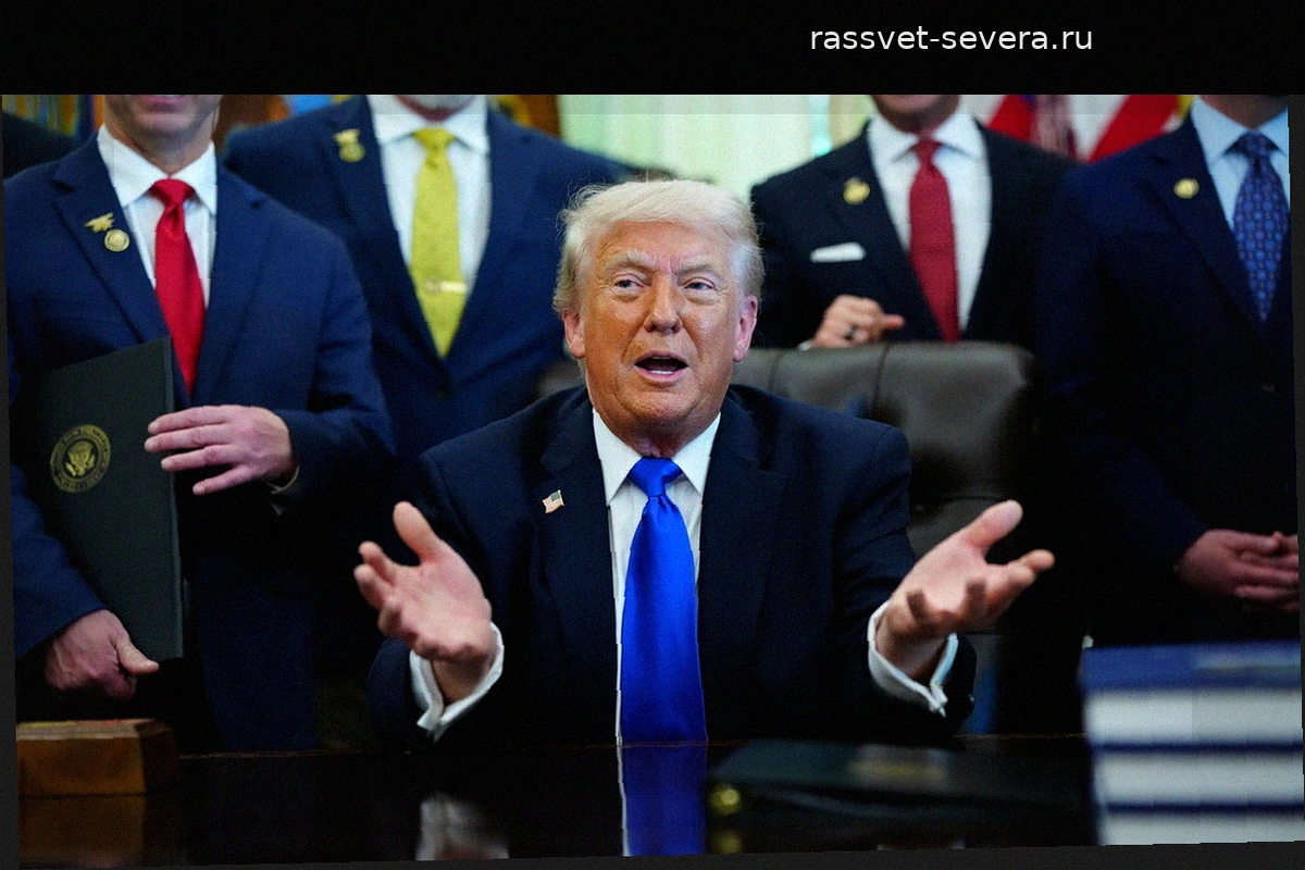 Решение Трампа о выводе войск из Германии шокировало оборонное ведомство США