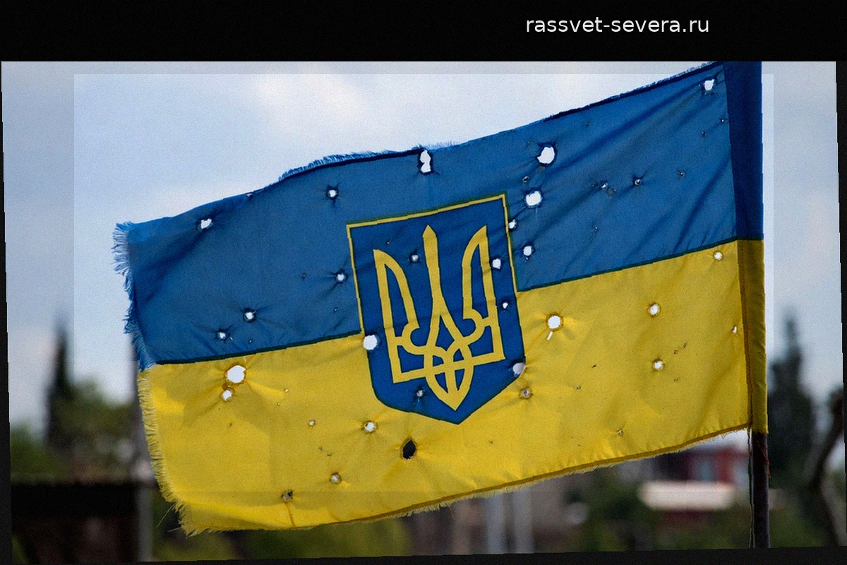 Провал в Курской области: украинские военные возлагают ответственность за потери на Зеленского и Сырского