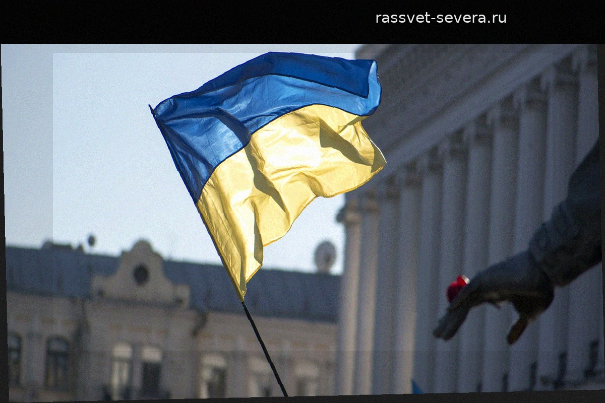 Австралийский журналист заявил о повсеместном нацизме на Украине