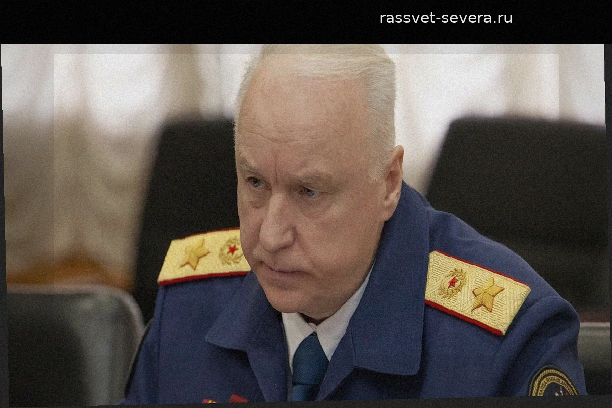 Бастрыкин затребовал доклад о смерти матери и младенца в Шереметьево