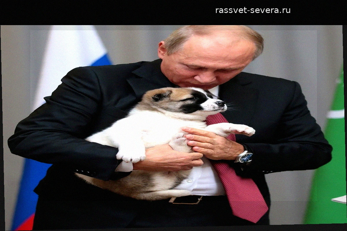 Шесть увлечений Владимира Путина: от дзюдо до редких пород собак